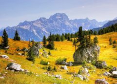 Cicloturismo a Cortina: 5 itinerari per ammirare la natura