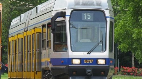 linea 15