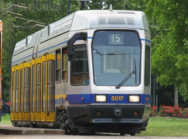 linea 15